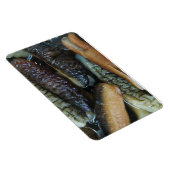 ナマコ…ヨーワラートマーケットフード マグネット (右側)