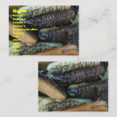 ナマコ…ヨーワラートマーケットフード 名刺 (正面/裏面)