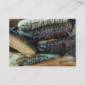 ナマコ…ヨーワラートマーケットフード 名刺 (裏面)