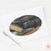 ナマコ…ヨーワラートマーケットフード 楕円形シール (封筒)