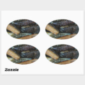 ナマコ…ヨーワラートマーケットフード 楕円形シール (シート)