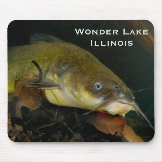 ナマズのマウスパッド マウスパッド (正面)