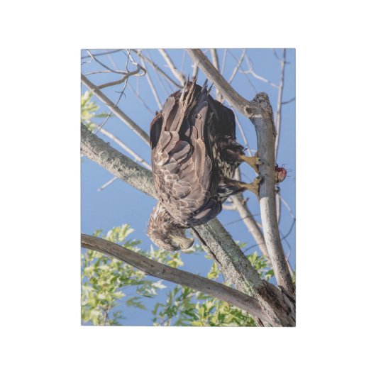 ナマズの幼稚な禿鷲 ノートパッド (回転)