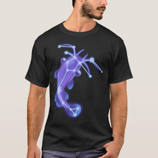 ナマズの星座 Tシャツ (正面)