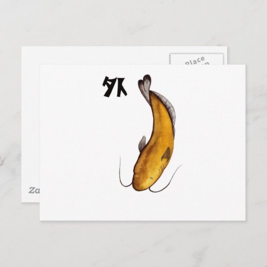 ナマズの無効 ポストカード (正面/裏面)