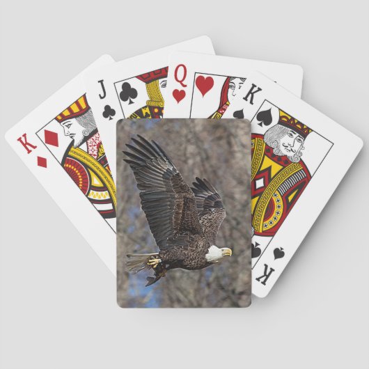 ナマズの禿鷲 トランプ (裏面)