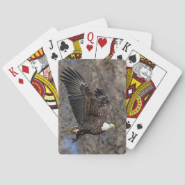 ナマズの禿鷲 トランプ