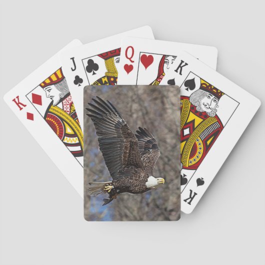 ナマズの禿鷲 トランプ (裏面)