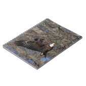 ナマズの禿鷲 ノートブック (左側)