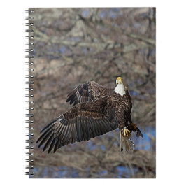 ナマズの禿鷲 ノートブック