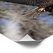 ナマズの禿鷲 フォトプリント            (角)