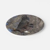 ナマズの禿鷲 ペーパープレート (アングル)