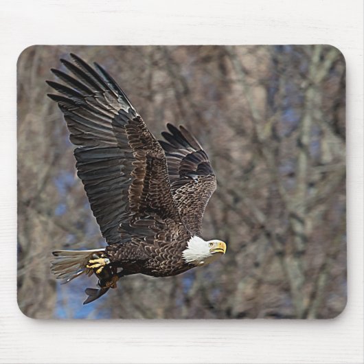 ナマズの禿鷲 マウスパッド (正面)