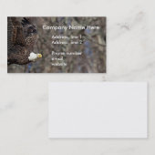 ナマズの禿鷲 名刺 (正面/裏面)