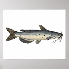 ナマズの稚魚 ポスター