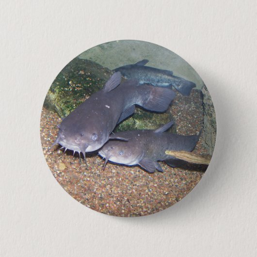 ナマズの魚釣りの動物園 缶バッジ (正面)