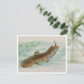 ナマズヴィンテージイラストレーション ポストカード (スタンド正面)