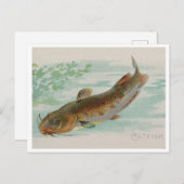 ナマズヴィンテージイラストレーション ポストカード (正面/裏面)