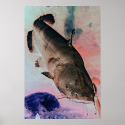 ナマズ写真ポスタープリント ポスター (正面)