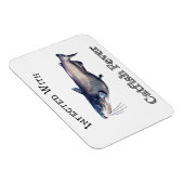 ナマズ熱に感染する マグネット (右側)