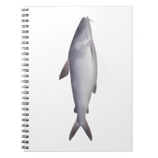 ナマズ目ギギ科の魚 ノートブック
