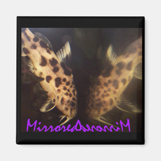 ナマズ磁石 マグネット