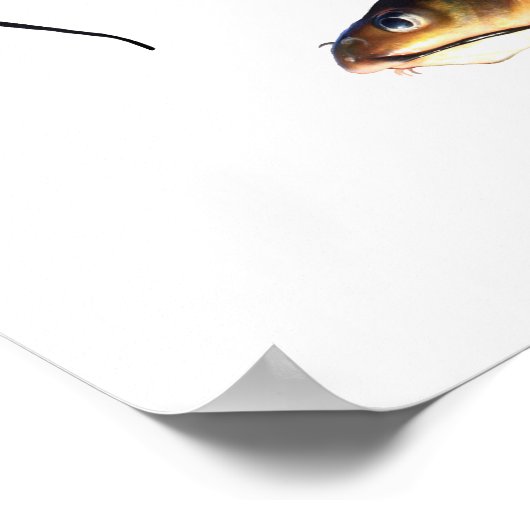 ナマズ科 ポスター (角)