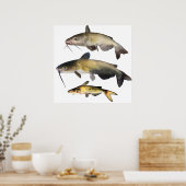 ナマズ科 ポスター (キッチン)