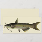 ナマズ釣り、ビンテージの海洋生物河川魚 (正面/裏面)