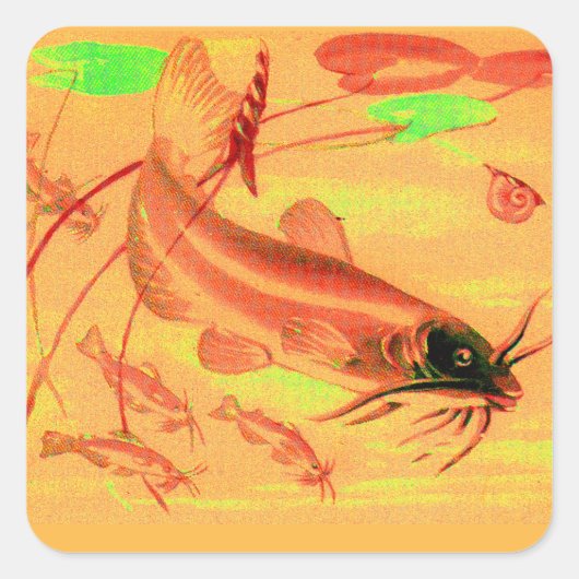 ナマズ スクエアシール (正面)