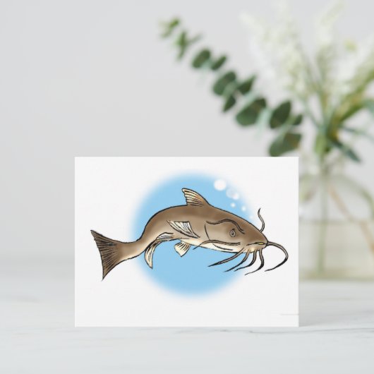 ナマズ ポストカード (スタンド正面)