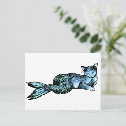 ナマズ ポストカード (スタンド正面)