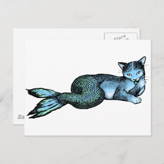 ナマズ ポストカード (正面/裏面)