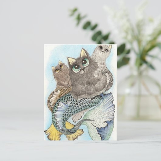 ナマズ ポストカード (スタンド正面)