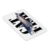 ナマズ マグネット (右側)