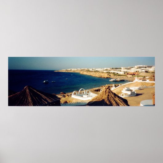 ナマベイエジプト ポスター (正面)