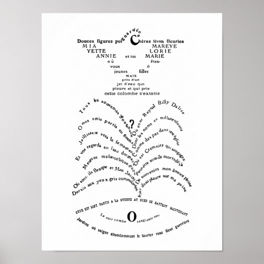 ナミダの鴛鴦と噴水 ポスター (正面)