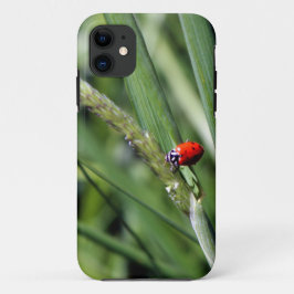 ナミテントウ（Coccinellidae） iPhone 11 ケース