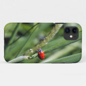 ナミテントウ（Coccinellidae） Case-Mate iPhoneケース (裏面(横))