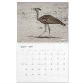 ナミビアとボツワナの鳥 カレンダー (3月 2027)