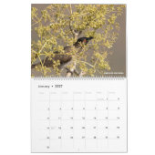 ナミビアとボツワナの鳥 カレンダー (1月 2027)