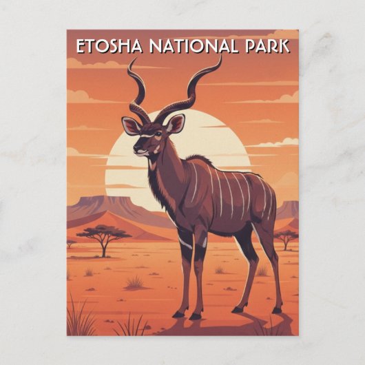 ナミビアのエトシャ国立公園のクーズー ポストカード (正面)