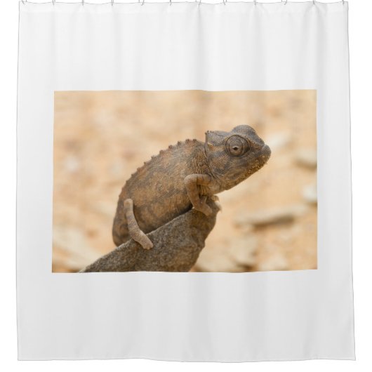 ナミビアのカメレオン シャワーカーテン (正面)