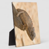 ナミビアのカメレオン フォトプラーク (側面)