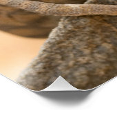 ナミビアのカメレオン ポスター (コーナー)