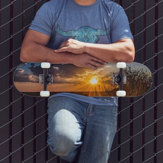 ナミビアのカラハリ砂漠に沈む夕日 スケートボード (室外3)