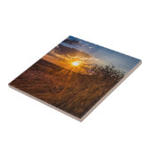 ナミビアのカラハリ砂漠に沈む夕日 タイル (側面)