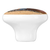 ナミビアのソリティアにある古い廃車 セラミックノブ (側面)