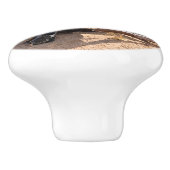 ナミビアのソリティアにある古くて捨てられた#3車 セラミックノブ (側面)