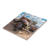 ナミビアのソリティアにある古くて捨てられた#3車 タイル (側面)